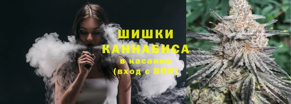 сатива Пролетарск