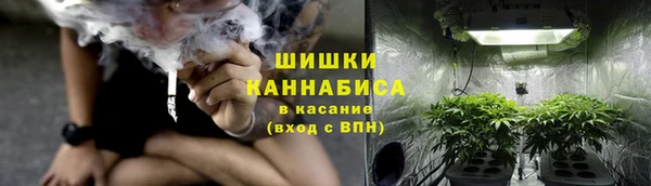 сатива Пролетарск