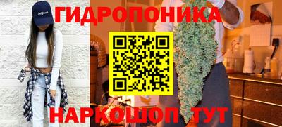 прущие крисы Пыть-Ях