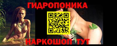СК Пугачёв