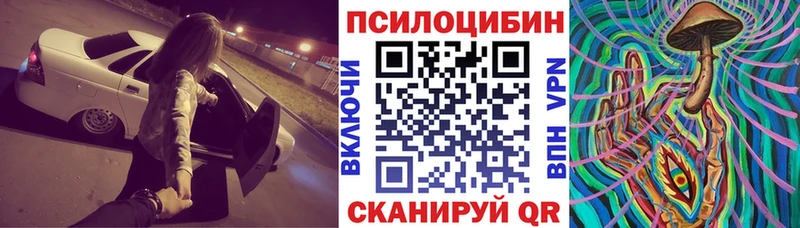 мориарти как зайти продажа наркотиков Советск Галлюциногенные грибы Cubensis