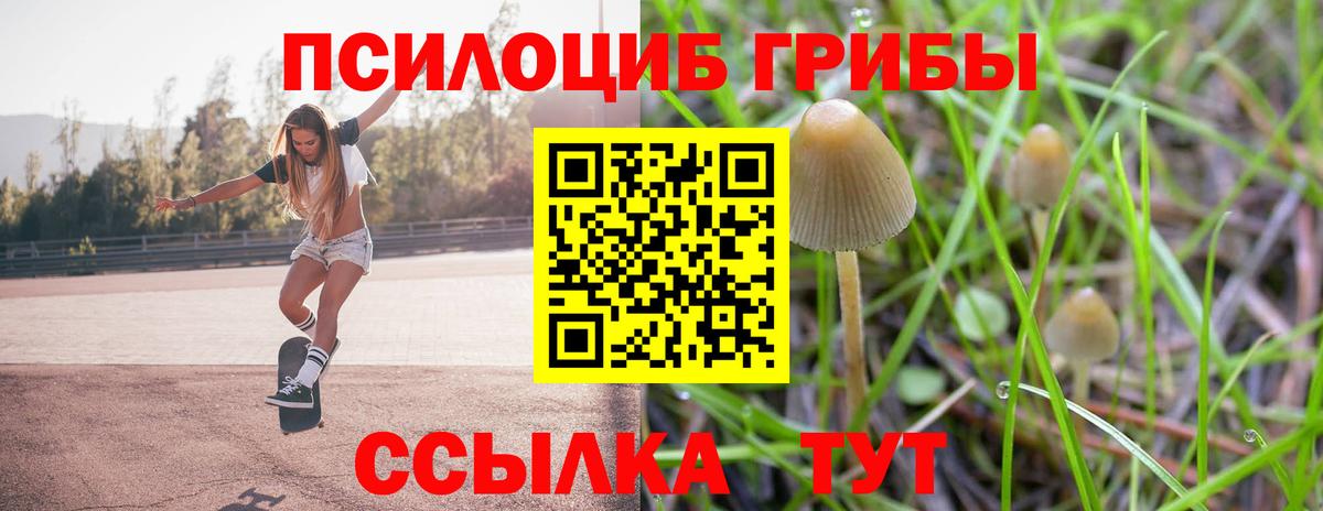 Советск  Галлюциногенные грибы ЛСД  Вход с VPN 