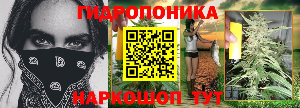 МАРИХУАНА план  МАРИХУАНА ГИДРОПОН  Советск  Канабис конопля  Вход с VPN 
